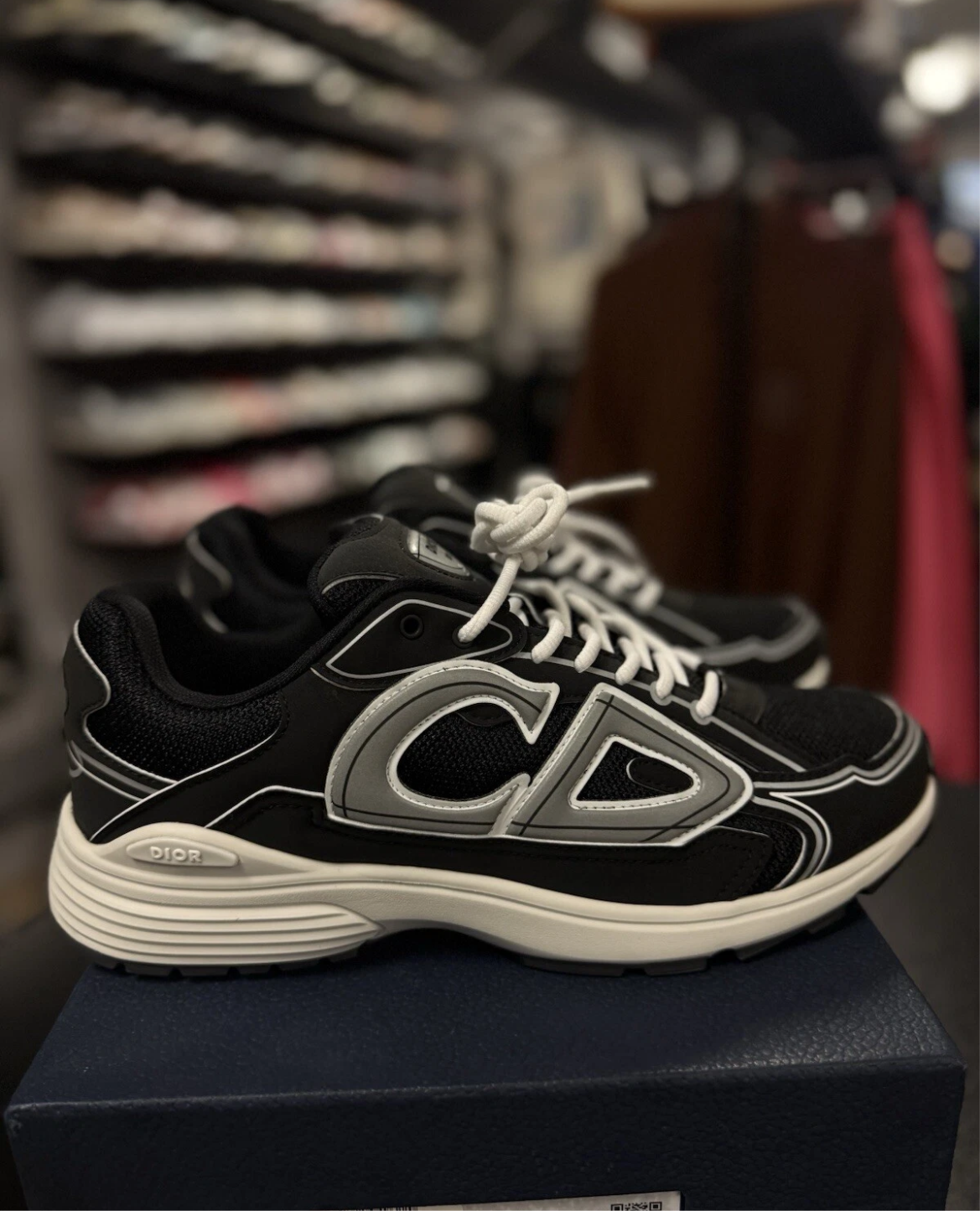 Dior B30 Reflective Sneaker 'Black White"