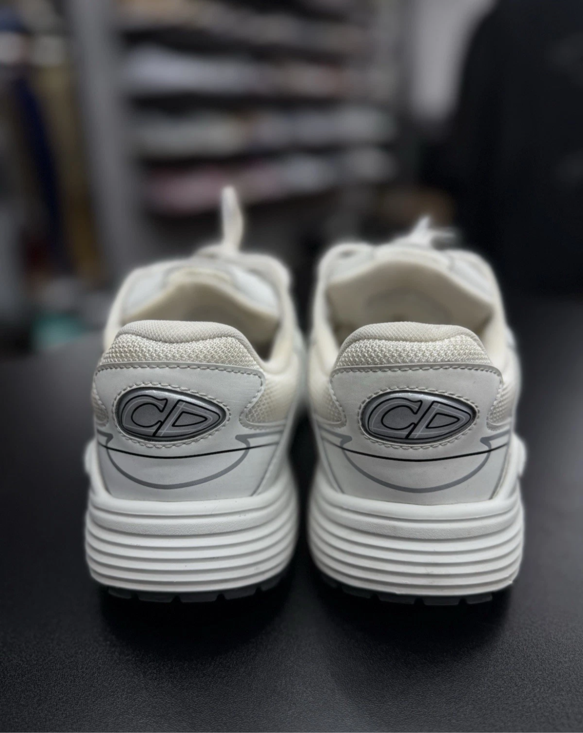 Dior B30 White Reflective Silver