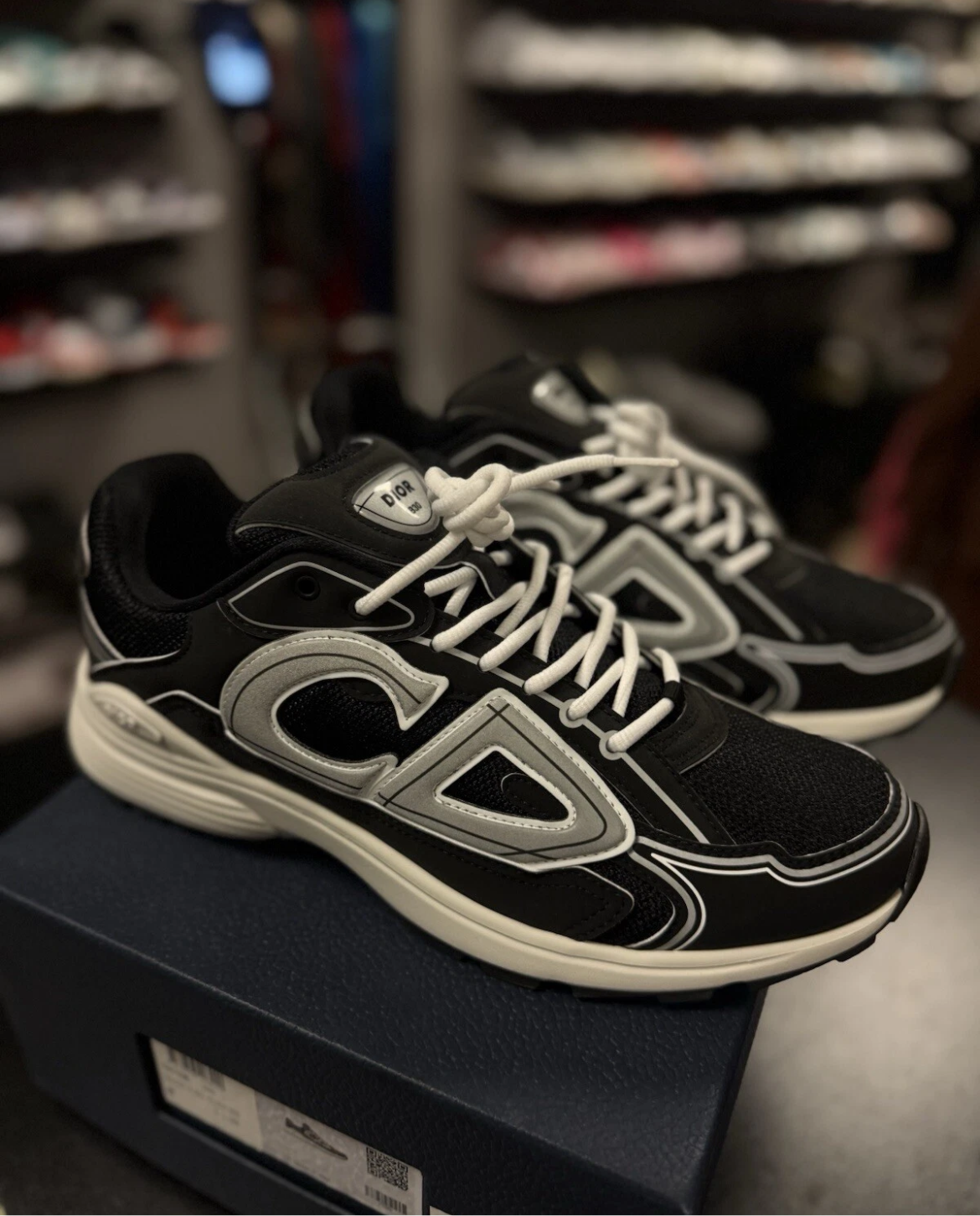 Dior B30 Reflective Sneaker 'Black White"