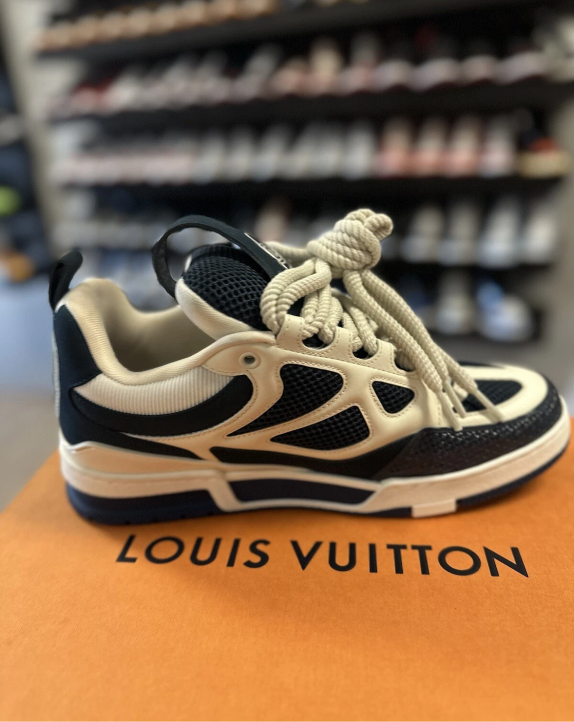 Louis Vuitton Skate Trainer ‘Blue White’
